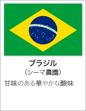 ブラジル(シーマ農園)