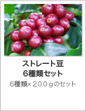 ストレート豆6種類セット